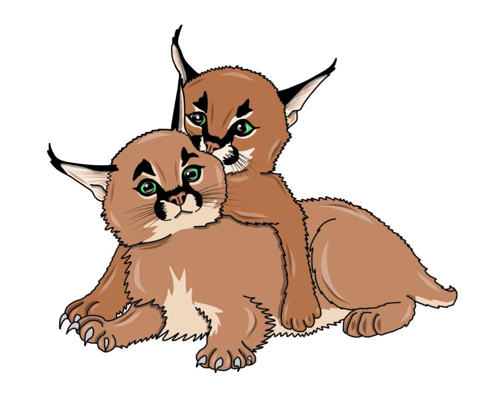 Caracal kittens